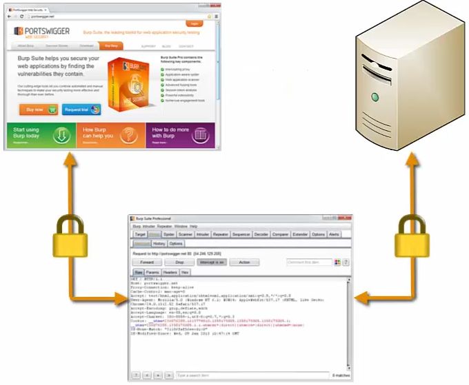 installing-the-burp-ssl-certificate-in-your-browser-inapp