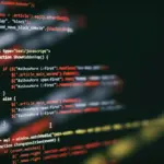 Top 5 Web Development Languages