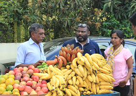 Environmental Stewardship